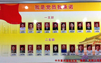 888集团官网登录集团党委开展党员承诺活动